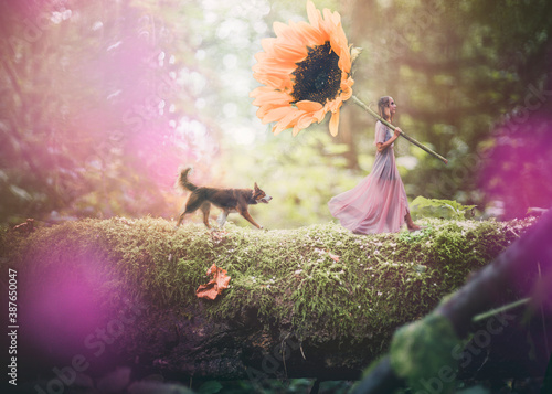 Young caucasian woman walking in a fantasy world like a fairy dressed in a pink gown carrying a giant sunflower with her border collie pet dog walking behind her on a tree log.