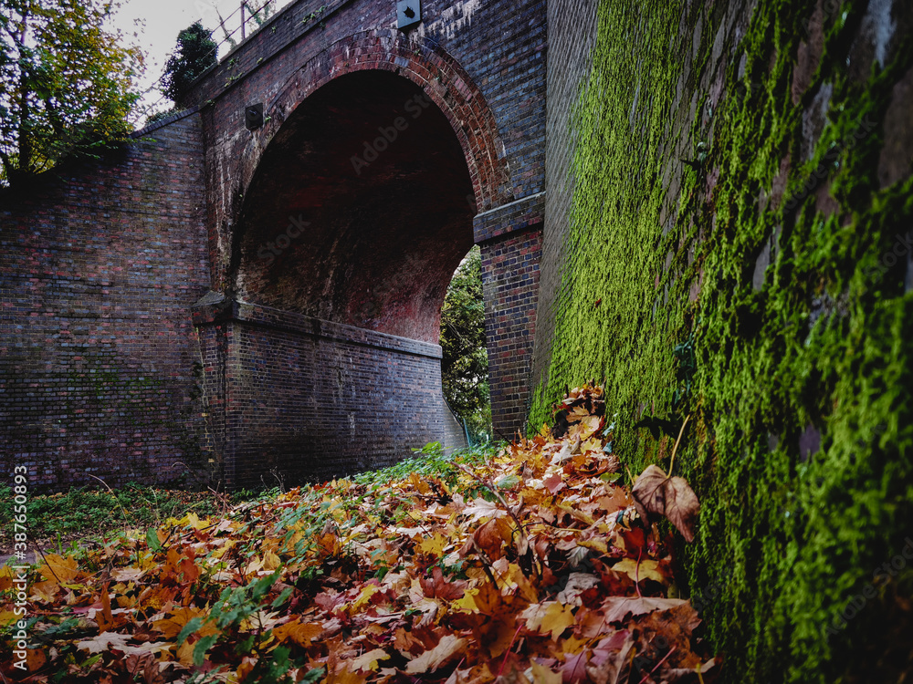 Autumn background of leafs and tunel 