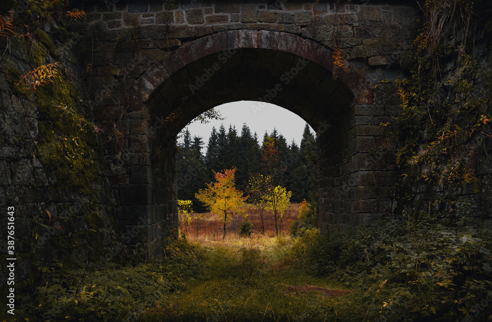 Das Viadukt im Wald