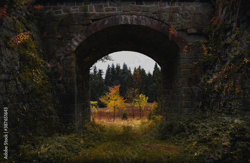Das Viadukt im Wald