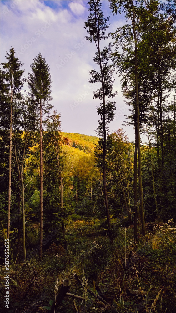 Obraz premium Myjava nature, Slovakia