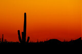 Arizona Sunset with saguaro cactus