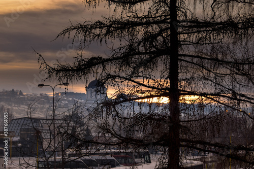 sunset in the forest