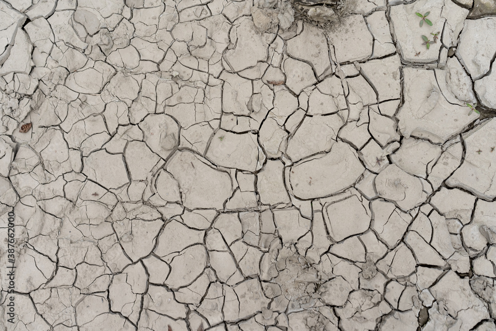 Fototapeta premium The earth is cracked into small pieces