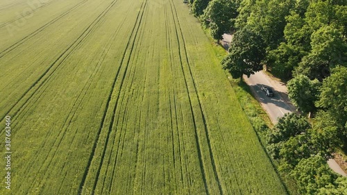 Car goes through green trees romantic top view
