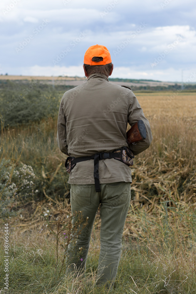 Pheasant hunter with shotgun walking through a meadow. .Rear view of a man with a weapon in his hands. Pheasant hunter with shotgun walking through a meadow. .Rear view of a man with a weapon in his hands.