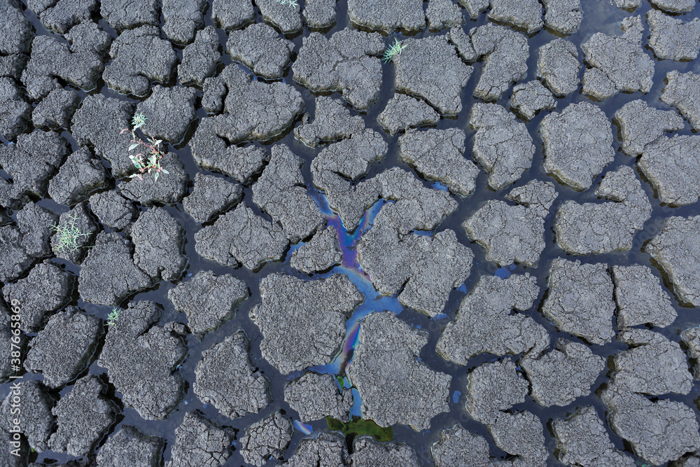Part of a huge area of dried land suffering from drought in cracks.. Part of a huge area of dried land suffering from drought in cracks..