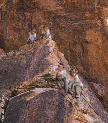 Badami  a small town in central Karnataka  is famous for its four rocky cave temples carved from a reddish sandstone in the mountain