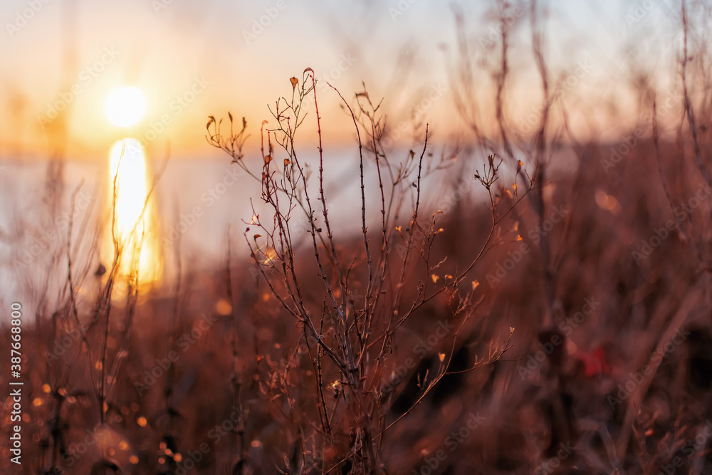 sunrise in the field sunrise in the field