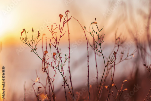 sunset in the morning