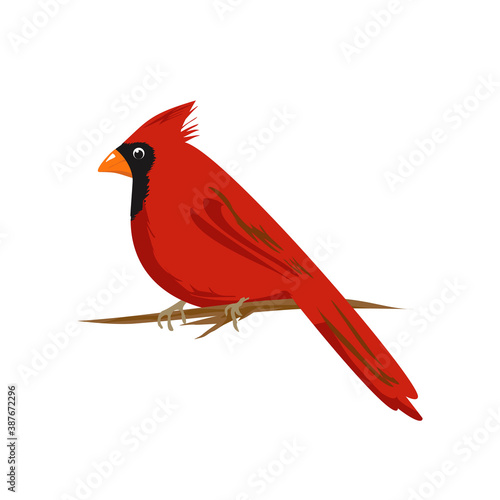basic vector cardinal perched on a branch