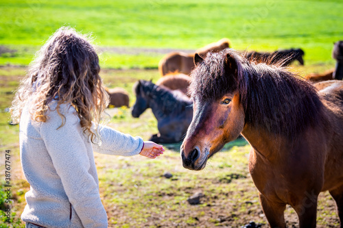 Young woman girl petting a black and brown horse face head in countryside rural field pasture paddock in Iceland summer