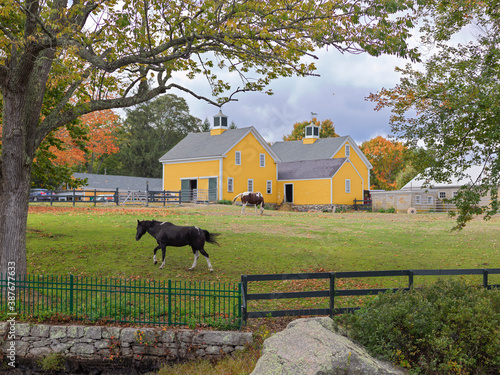 Farm Scene With Running Horse Yellow Barn