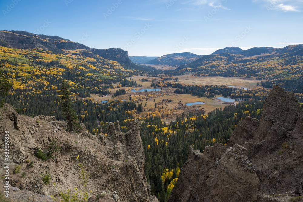 Fototapeta premium Beautiful landscape of the fall colors from yellow aspens in the Rocky Mountains of Colorado.