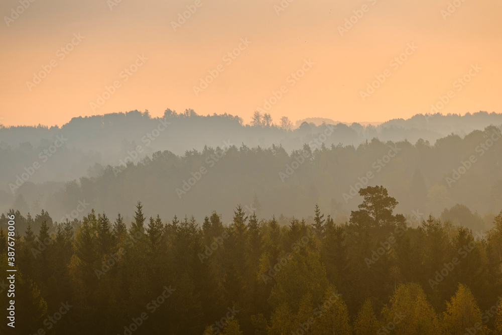 Beautiful colourful sunrise over thick forest  with layers during misty autumn morning.