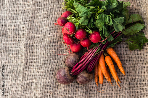 fresh organic carrots, radishes and beets on jute background in Brazil