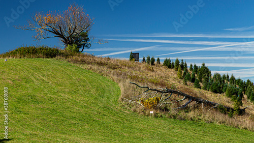 Fall photos from the Blue Ridge Parkway area, Northwestern North Carolina