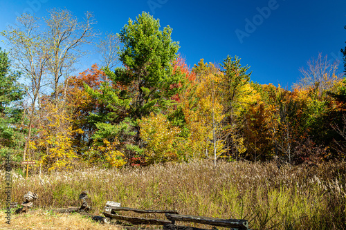 Fall photos from the Blue Ridge Parkway area  Northwestern North Carolina