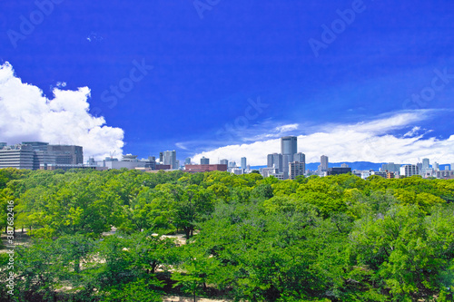新緑の公園と大阪府北区方面の景観