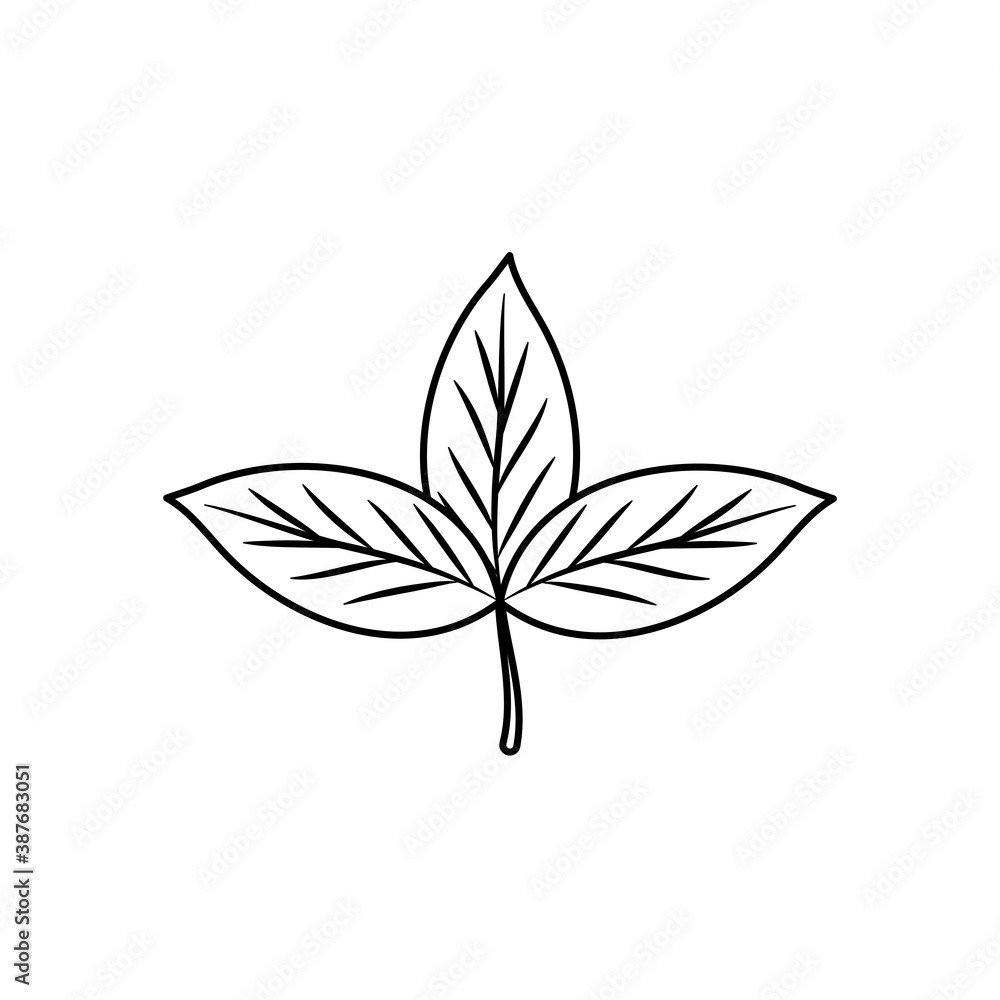 dry leaves icon, line style dry leaves icon, line style
