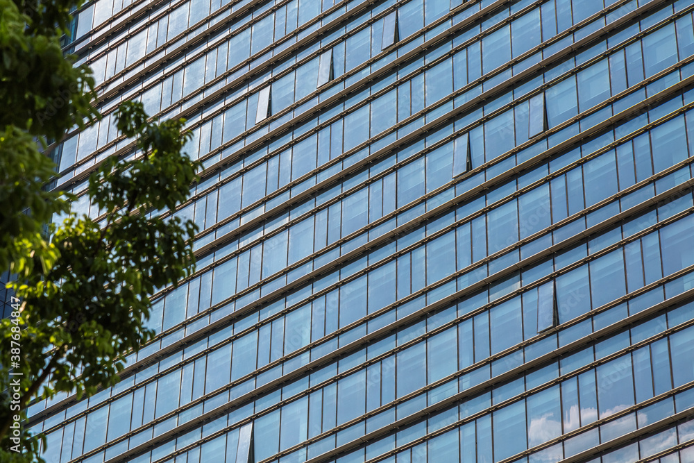 green trees front of modern glass office building