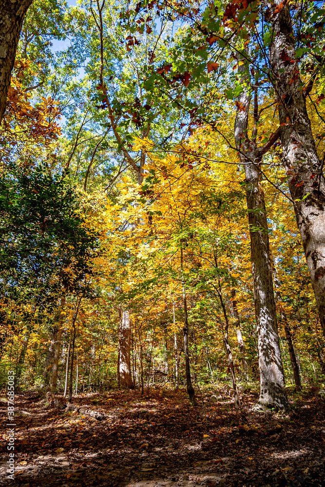 Blue Ridge Parkway