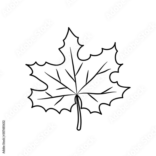 icon of maple leaf, line style