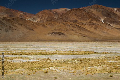 The Andes mountain range. Panorama view of the brown mountains, yellow grass and golden valley, under a deep blue sky.