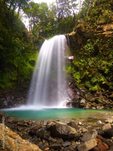 waterfall in the woods