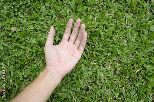Hand touching green grass field © mansum008