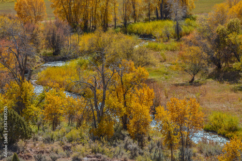 Peaceful stream flowing through the trees of colorful autumn leaves in the Uinta National Forest in Utah
