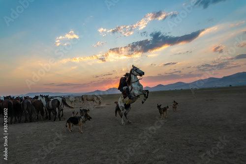 Wild horses and cowboys in the dust at sunset