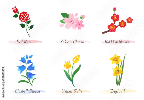 Watercolor botanic garden nature plant flower rose sakura cherry plum blossom bluebell tulip daffodil