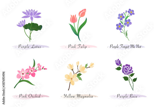 Watercolor botanic garden nature plant flower lotus tulip forget me not orchid magnolia rose