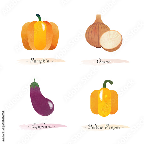 Watercolor healthy nature organic plant vegetable food ingredient pumpkin onion eggplant yellow pepper