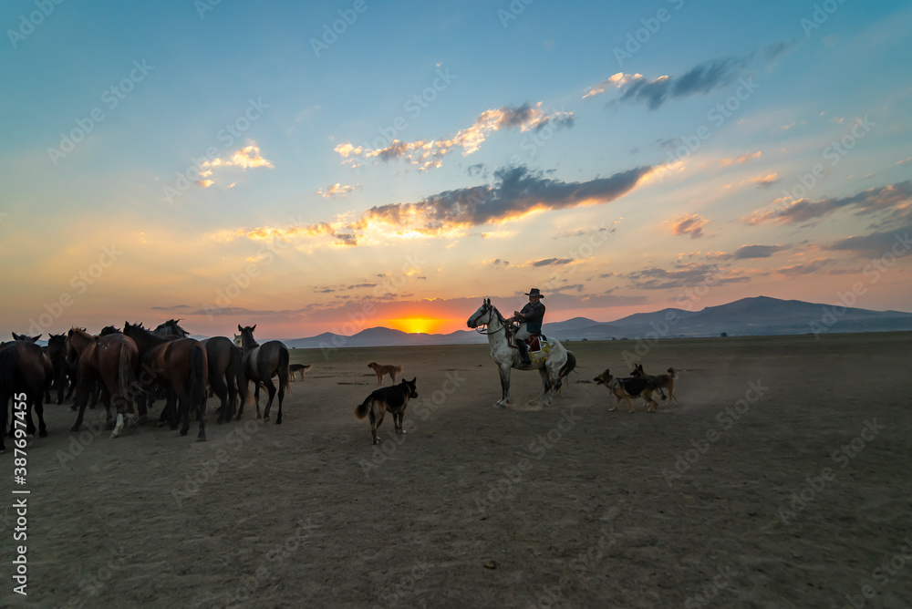 Wild horses and cowboys in the dust at sunset