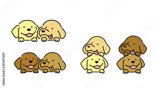 かわいい二匹の犬