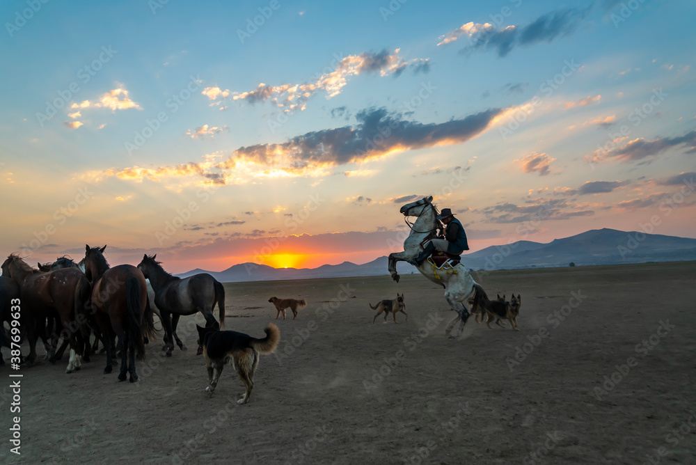 Wild horses and cowboys in the dust at sunset