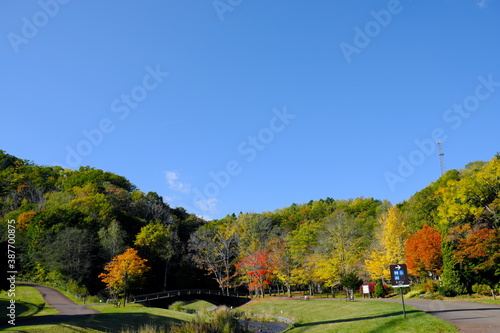 紅葉と道