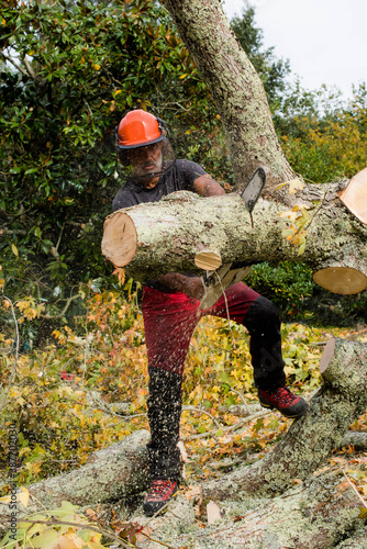 professional lumberjack in action