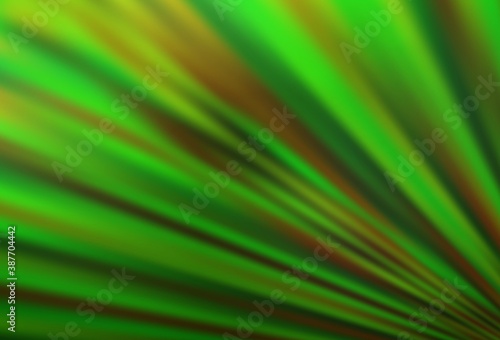 Light Green vector texture with colored lines.