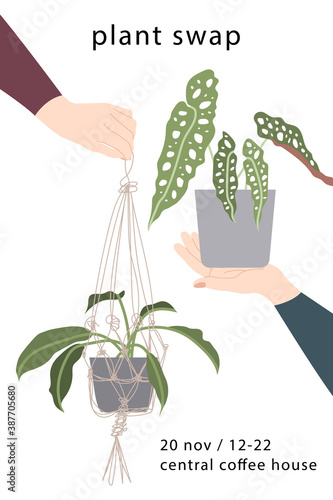 Plant swap, indoor plants exchange. Flyer for swap party. Houseplants market. Hands holding potted flowers. Ecological lifestyle. Vector flat cartoon illustration