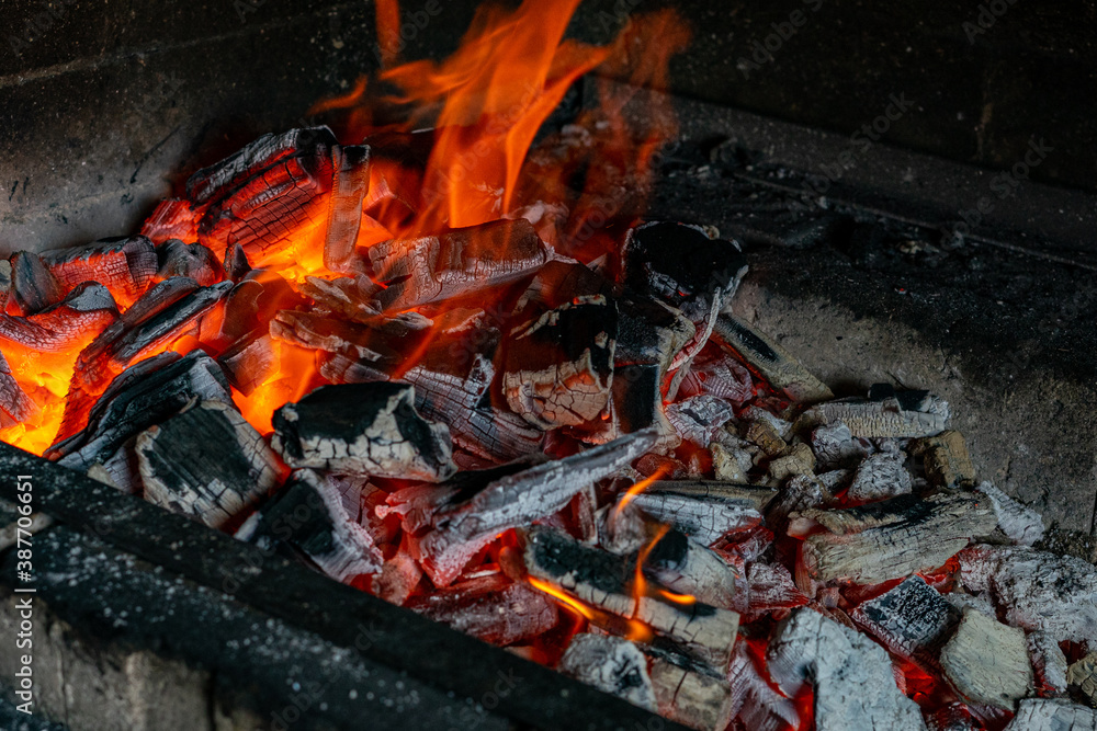 Barbecue. The fire is burning in the grill. Barbecue. The fire is burning in the grill.