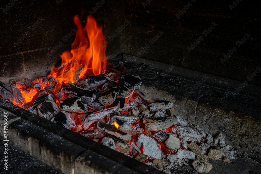 Barbecue. The fire is burning in the grill. Barbecue. The fire is burning in the grill.