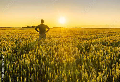 A man stnding and watching sunset in a wheaten shiny field with golden wheat and sun rays, deep blue cloudy sky and rows leading far away, valley landscape