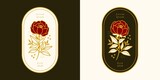 Hand drawn vintage botanical rose flower logo template and feminine beauty brand element in elegant and minimal style