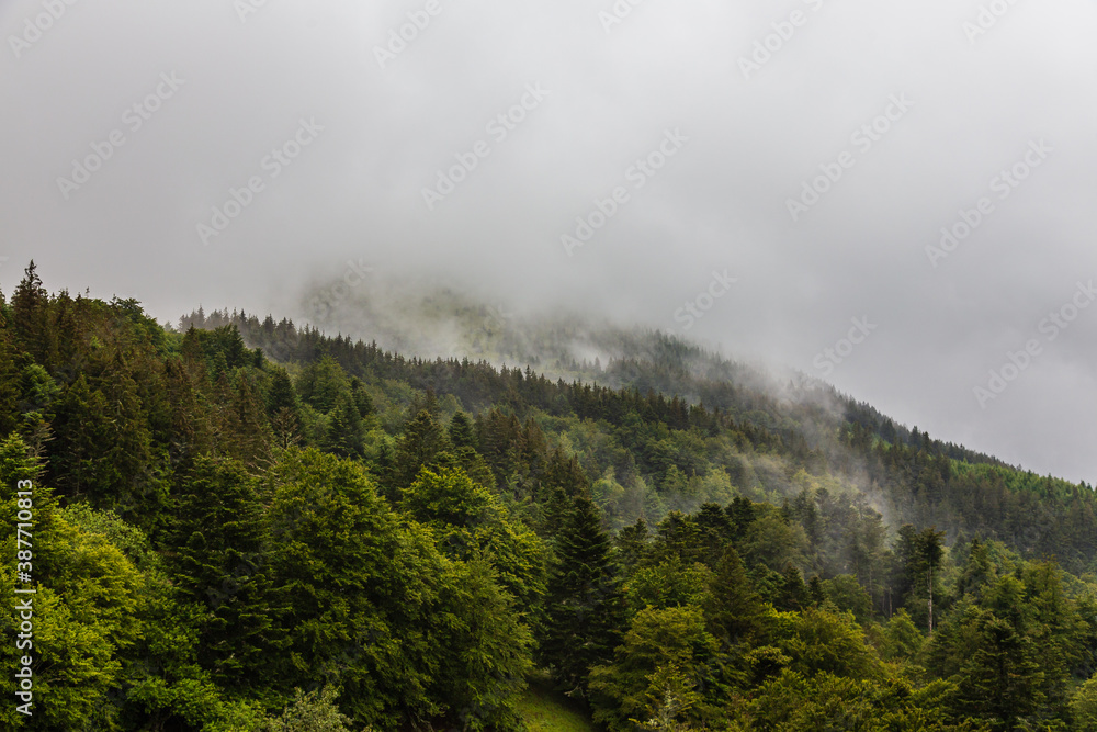 Auvergne 