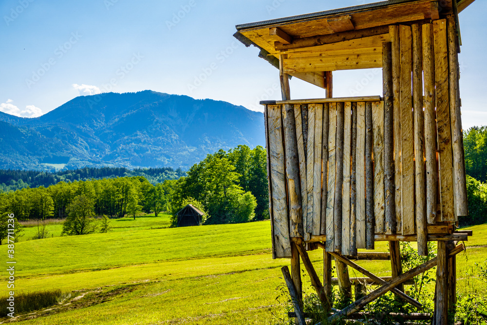 old raised hide at the alps