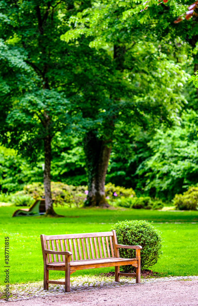 wooden park bench wooden park bench