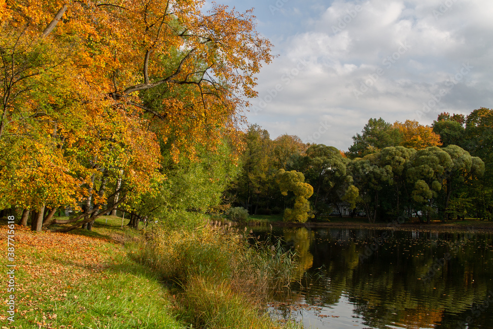 autumn landscape lake surrounded by trees